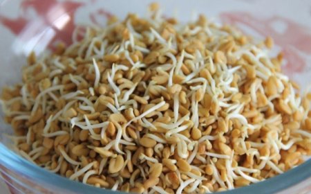 எடையை குறைக்க உதவும் வெந்தயம்; இத்தனை நன்மைகளா!