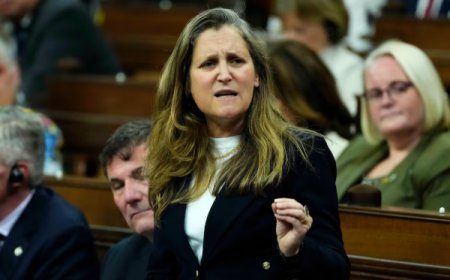 கனடிய முன்னாள் அமைச்சருக்கு பிரித்தானியாவில் வழங்கப்பட்ட உயர் பதவி