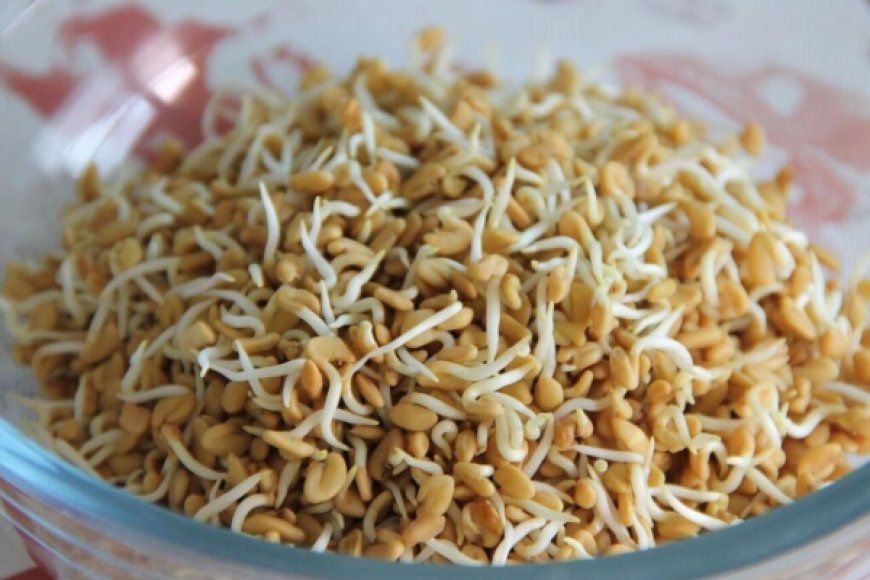 எடையை குறைக்க உதவும் வெந்தயம்; இத்தனை நன்மைகளா!