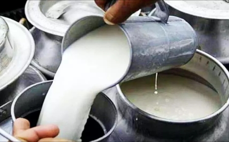 கலப்படப் பால் குடித்த 4 பேர் உயிரிழப்பு - பலியானோர் குடும்பங்களுக்கு ரூ. 10 லட்சம் இழப்பீடு!