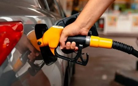 திடீர் எரிபொருள் விலை உயர்வு: இலங்கையில் உருவாகும் பொருளாதார நெருக்கடி?