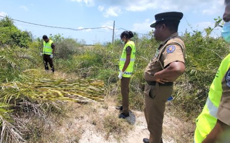 தாயின் சடலத்துடன் காரில் தப்பியோடிய மகள் மற்றும் மருமகன் சிக்கியது எப்படி?