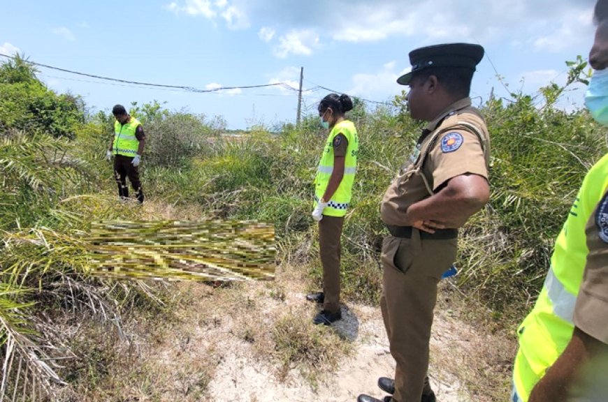 தாயின் சடலத்துடன் காரில் தப்பியோடிய மகள் மற்றும் மருமகன் சிக்கியது எப்படி?