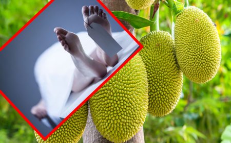 பலாப்பழம் மூக்கின் மீது தாக்கியதில் குடும்பஸ்தர் உயிரிழப்பு
