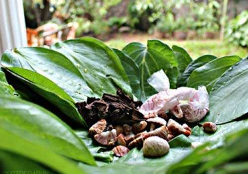 வாய் புற்றுநோய் அபாயம்: புகையிலை கலந்த வெற்றிலை பாக்கு விற்பனை மற்றும் விநியோகத்திற்குத் தடை..